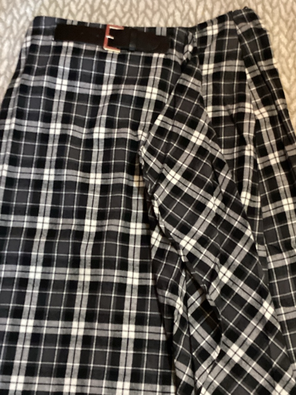 Zara Skirt with Belt